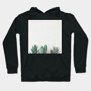 Cactus & Succulents II Hoodie